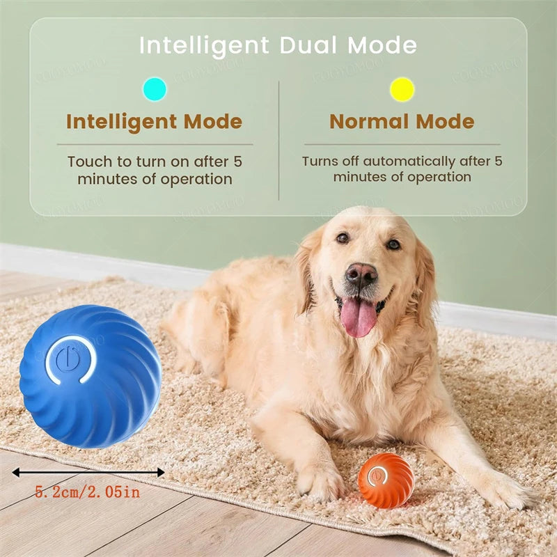 Interactive Motion Ball for Pets™