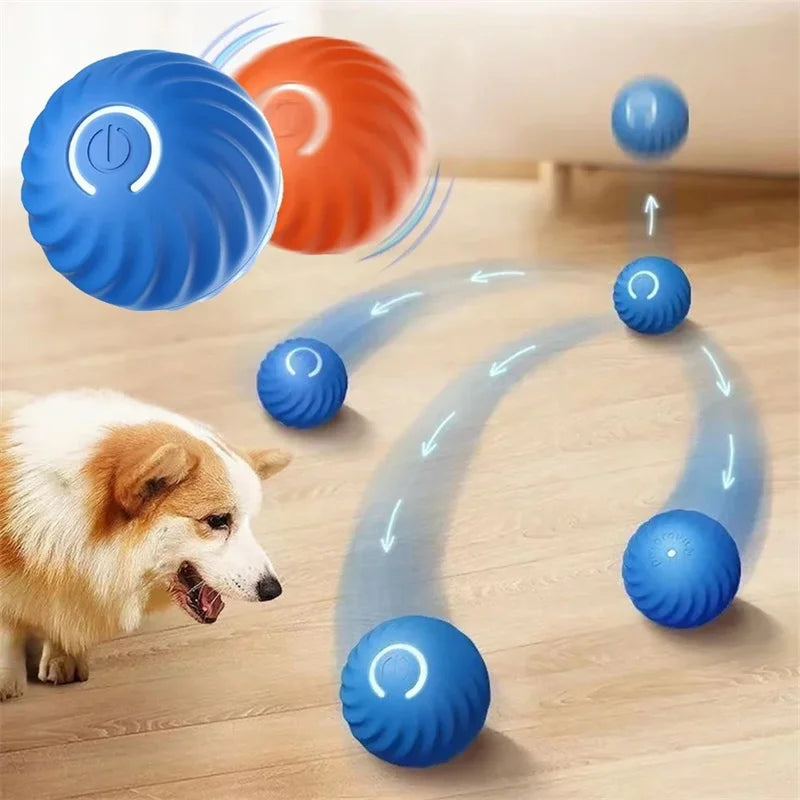 Interactive Motion Ball for Pets™