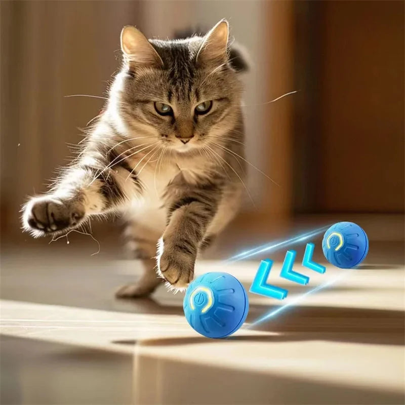 Interactive Motion Ball for Pets™