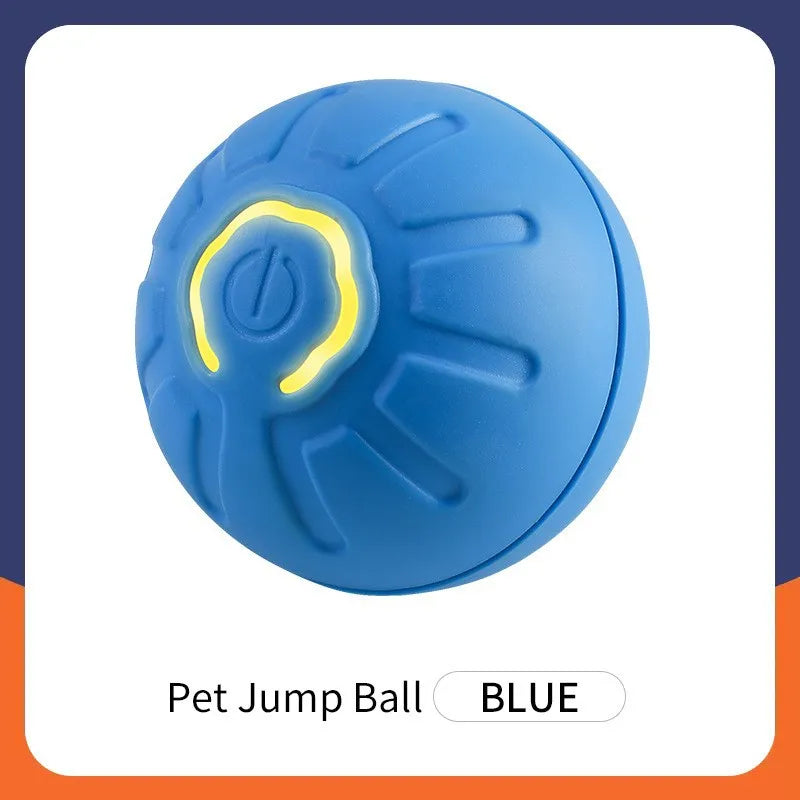 Interactive Motion Ball for Pets™