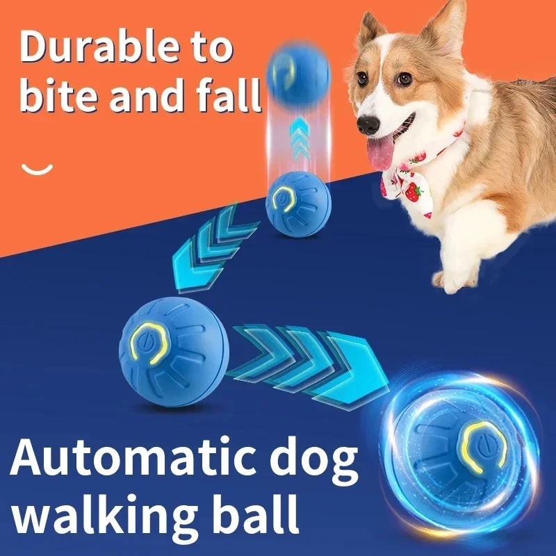 Interactive Motion Ball for Pets™