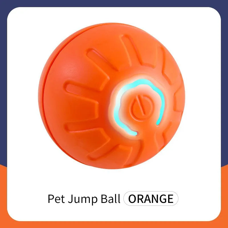 Interactive Motion Ball for Pets™